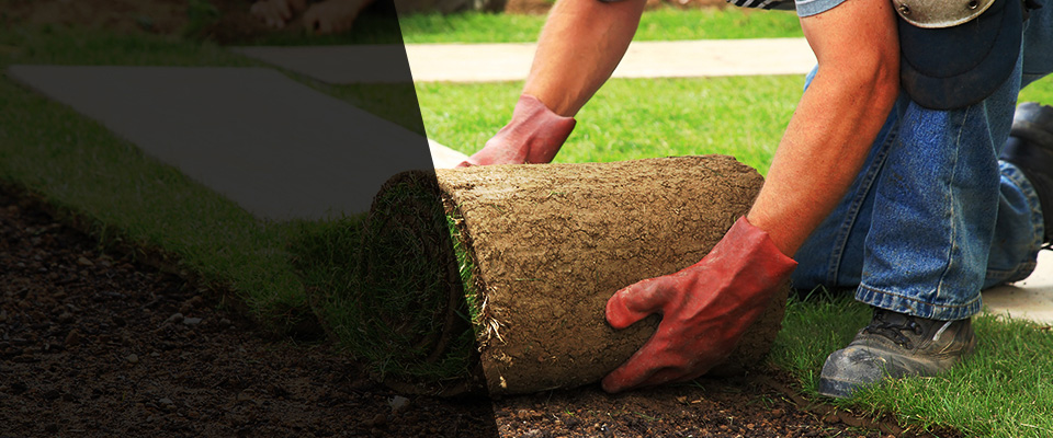 Hastings On Hudson Landscapers